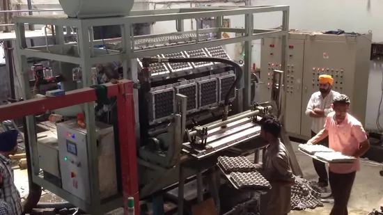 New Paper Pulp Egg Tray Machine Paper Product Making Machine 1000PCS/Hour