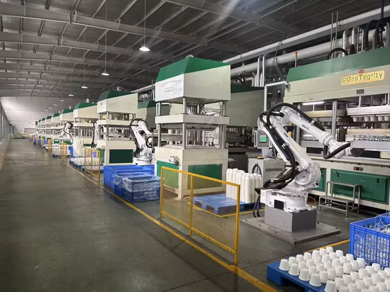 Fully Automatic Biodegradable Sugarcane Bagasse Tableware Pulp Molding Making Machine Fully Automatic Production Line