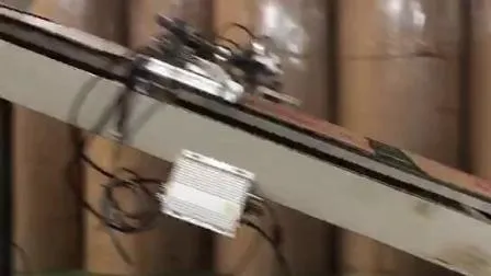 Food Box/Bag/Pipe/Paper Loobjet Box/Pallet Digital Flex Printing Machine Coding Solution