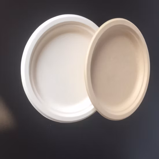 カスタマイズ可能な環境に優しい食器、サトウキビのバガスパルプを使用した堆肥化可能なプレート、2 つのコンパートメント付き